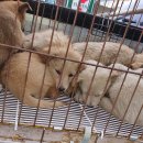 노화읍-6 이미지