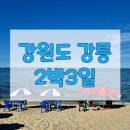 감자꽃펜션 | [강원/강릉] 강릉중앙시장, 감자꽃펜션, 사근진해변, 아르떼뮤지엄