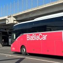 노다지농장 | 쾨겐호프 튤립축제(예약, 입장권,셔틀버스) 5월 말 축제 후기 및 팁[8박9일 네덜란드&amp;벨기에 여행]