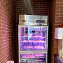 거북이동네 하단점 이미지