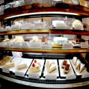 달코마이 이미지