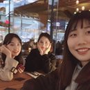 카페칵투스
