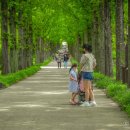 숲어울림치유연구소