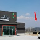 (주)블루베리코리아 이미지