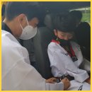 튼튼태권도체육관 이미지