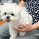 황금누리동물병원 이미지