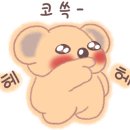 정프로 이미지