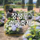 &lt;울산/남구&gt; 가볼 만한 곳 장생포 수국축제 고래문화마을 재방문 후기