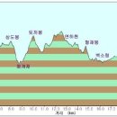 태극김밥천국 이미지