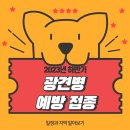 정다운동물병원 | 2023년 하반기 추계 광견병 예방 접종 전국 일정 알아보기
