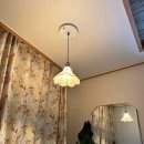 스테이안봉 이미지