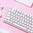 (사)한국사진작가협회 노동조합 | ⌨사무용 무선 키보드 추천, 씽크웨이 토체프 301 피치소다축 + 실리콘 키캡 (저소음 끝판왕💕)