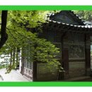 바다참치수산 티스토리
