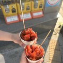 꿀딱아중점