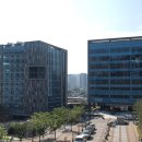 서강대학교(국제인문관) Daum카페