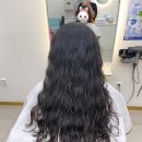 샐리헤어살롱