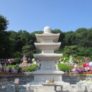 경기둘레길 파주5코스 Daum카페