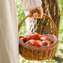 땅끝마을농장 이미지