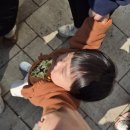 에버하우스펜션 | 아이랑 에버랜드 워킹사파리 후기, 에버랜드구간차이, 로스트밸리 걸어서 본 솔직후기