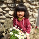 솔애유치원 이미지