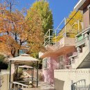 의정부 은행나무 포토존 푸지하우스 fuji house 서울 근교 은행나무뷰 루프탑 카페