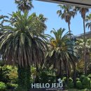 표선초등학교 운동장 이미지