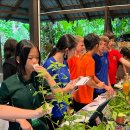 Year 8 students visited the Tropical Spice Gardens 이미지