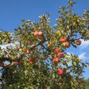 신농팜케미컬 이미지