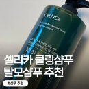 허브 솔루션(주) | 여름샴푸추천 쿨링샴푸 셀리카 시카 티트리 프로스트 스칼프 쿨링샴푸1,000ml