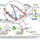 삼향농협주유소 이미지