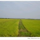 황산농협미곡처리장 이미지