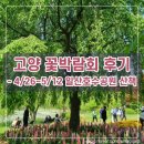 가족과 서울근교 일산 호수공원으로 고양시 꽃박람회 나들이