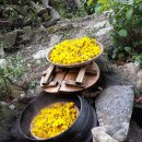 심성 농장 이미지