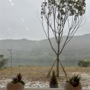 리버뷰캠핑장 | 클릭 캠핑장 이용 후기 및 정보 공유ㅣ명당사이트 추천ㅣ서울근교 호텔급 리버뷰 신생 캠핑장