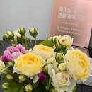 크레센도피아노교습소 이미지