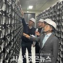 이상태양광발전소 이미지