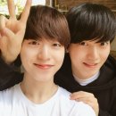 라운 이미지
