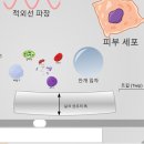 scale of universe 2 - 한글도 지원됩니다. (쿼크부터 거대 우주구조까지) 이미지