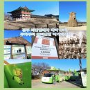 ㈜동부자동차써비스 | 경주 비단벌레차 예약 후기! 주차부터 황리단길 먹거리까지