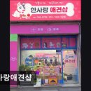 한사랑 애견미용샵 | (성남, 애견미용, 추천!) 한사랑애견샵 성남 애견미용 한사랑애견샵, 친절한 서비스