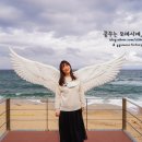 바다정원 이미지