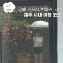 미미캣살롱&고양이호텔 | 제주 3박 4일 여행 일기3ㅣ시내 카페, 소품샵, 숙소, 동문시장