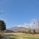 [봄 라운딩 후기⛳] 타이거CC에서 아트스크린 월례회! 그린피 할인까지 완벽했던 하루✨