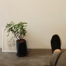 모나미미용실 이미지