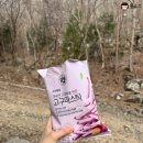 광양여행) 백운산 둘레길 진달래 명소 / 광양 가볼만한곳 봄꽃 산책코스 추천