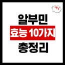 메타 크로스핏 | 알부민의 효능 10가지 핵심 정리