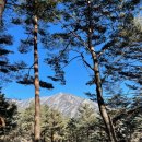 인제캠핑타운 이미지