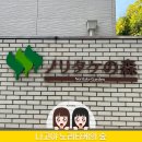 VOLARE by 장미의숲 | 일본 나고야 여행 숨은 명소 노리타케의 숲(Noritake Garden) 산책 (노리타케 스퀘어, 토토로)