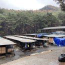 이현우농장 이미지