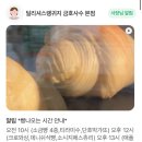 사수동 카페 :: 딜리셔스 랭귀지 내돈내산